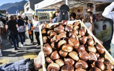 La Fête de la Châtaigne en France : Un Voyage Gourmand à Travers les Régions