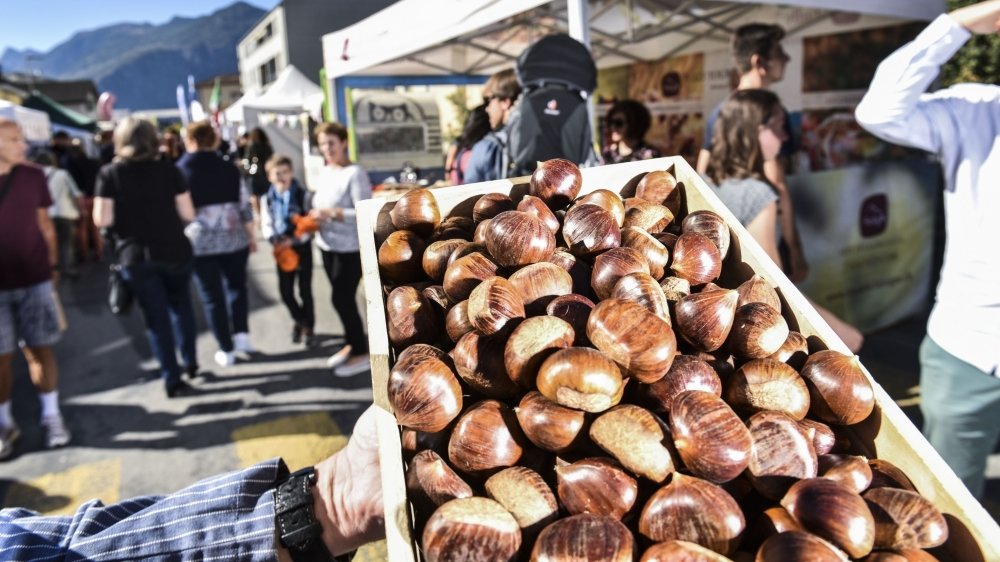 La Fête de la Châtaigne en France : Un Voyage Gourmand à Travers les Régions