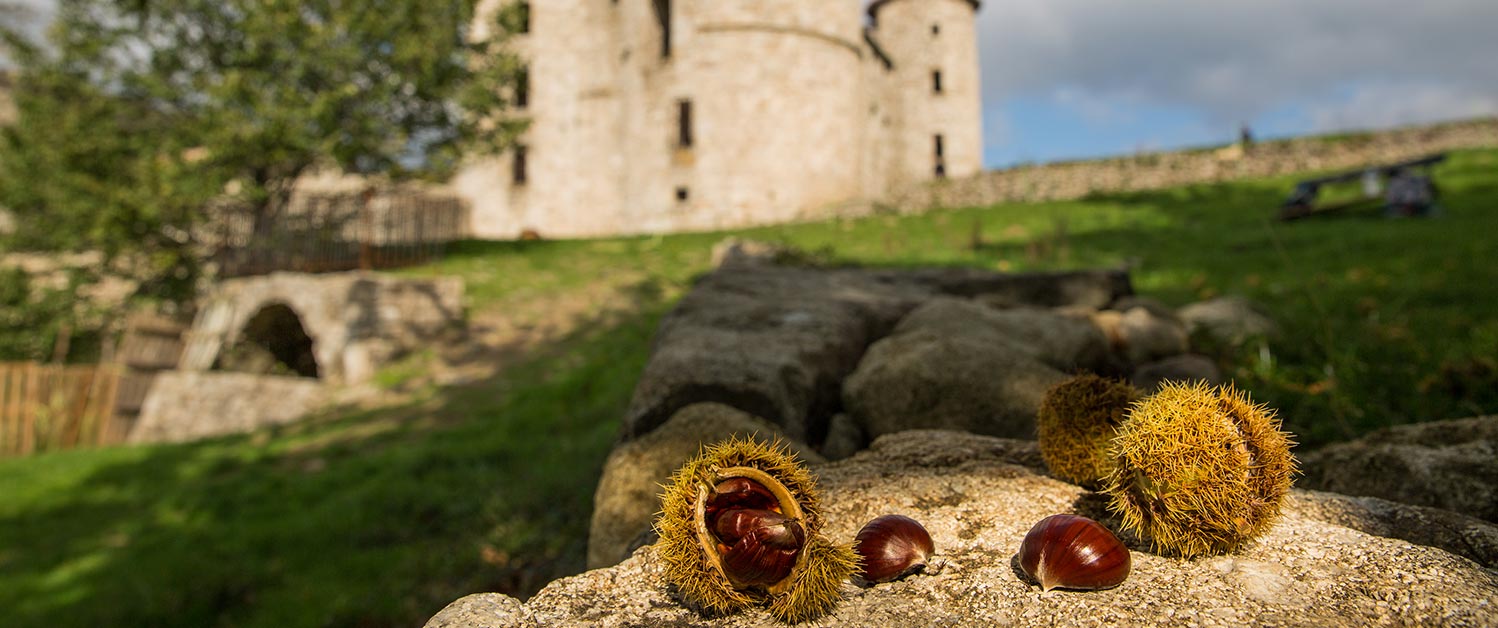 histoire chataigne ardeche